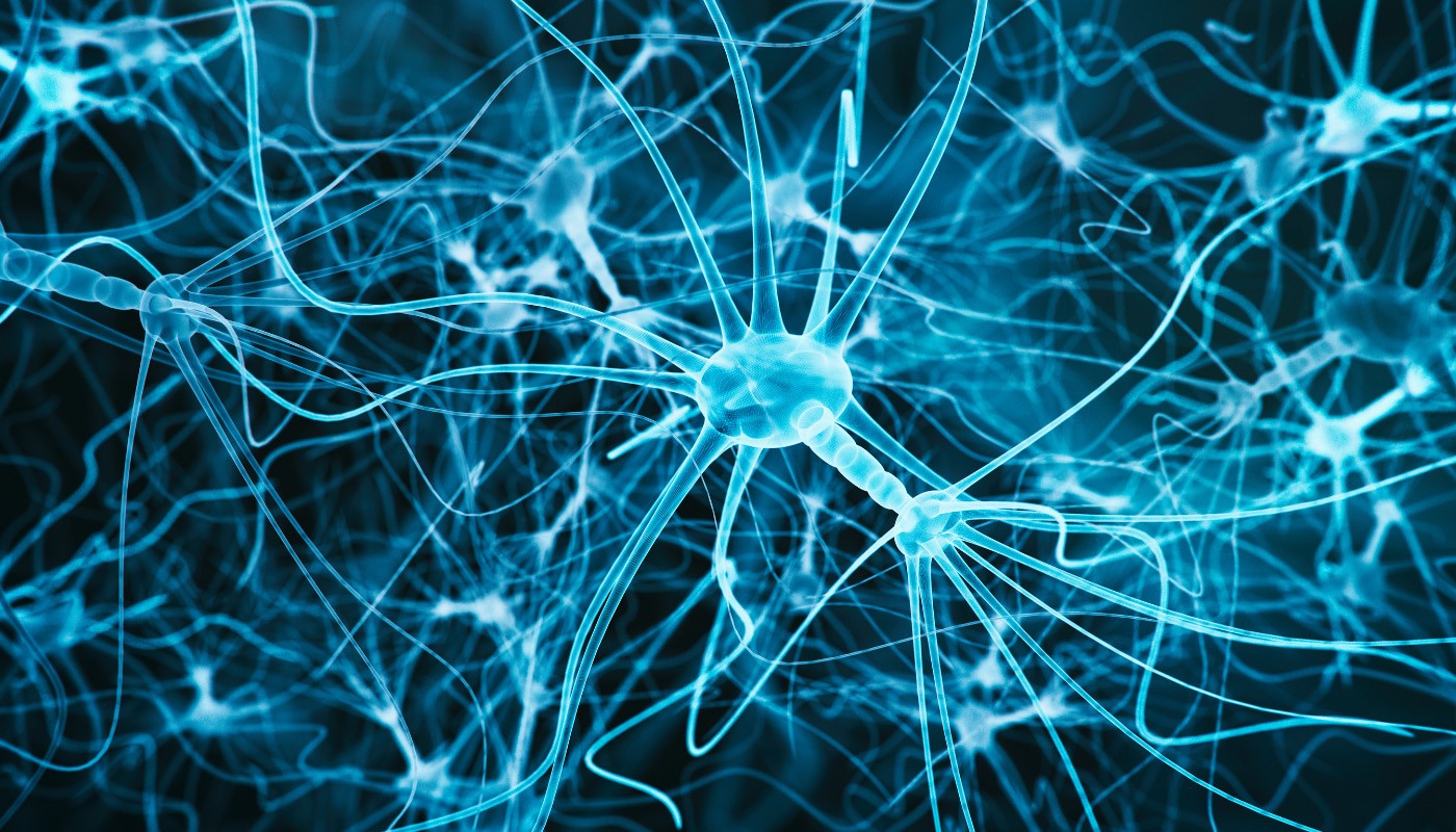 Illustration of neurons.