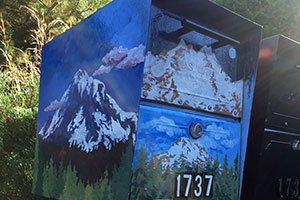 A mailbox painted with images of Washington mountains.