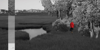 Sarah Canepa - Tidal Land, 2013. A Photoshop collage imagining a designed salt marsh at Fan Pier, a segment of industrial waterfront located on Boston’s Inner Harbor.