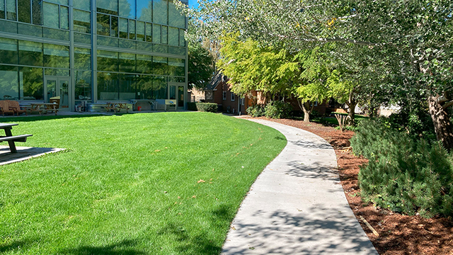 The lawn next to Fouts, with a curved sidewalk leading to a brown building mostly obscured by trees.