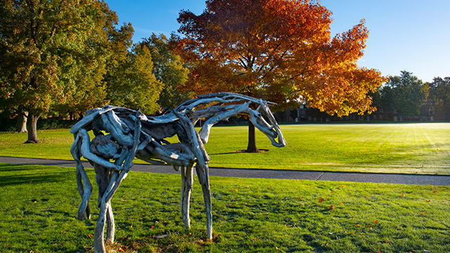 Styx, a sculpture that resembles a horse assembled from driftwood, with trees showing fall colors in the background.