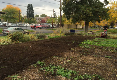 Organic Garden