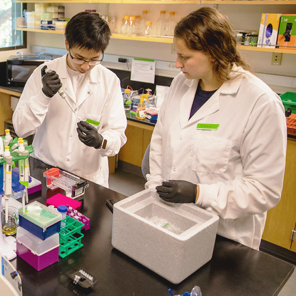 Whitman College students conducting research in a science lab.