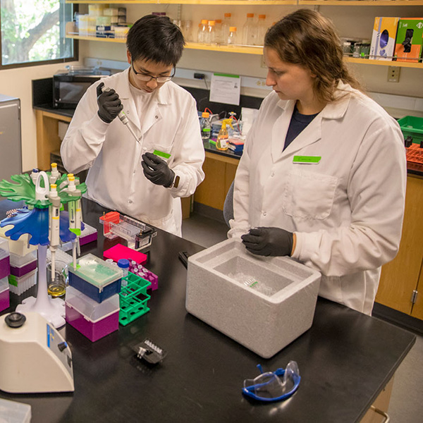 Students in a biology lab