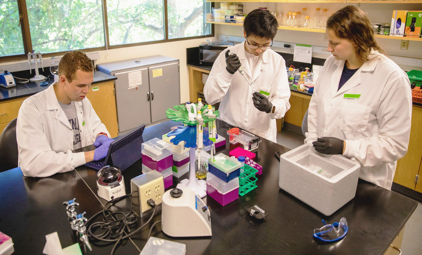 Students in a biology lab