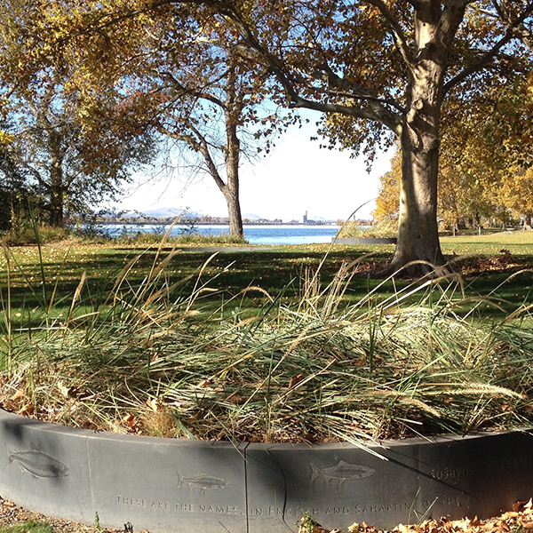 An outdoor setting with grass, trees and a river in the background.