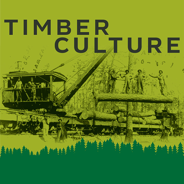 A green and black illustration using an historical photograph of trees being harvested. “Timber Culture” in black text.