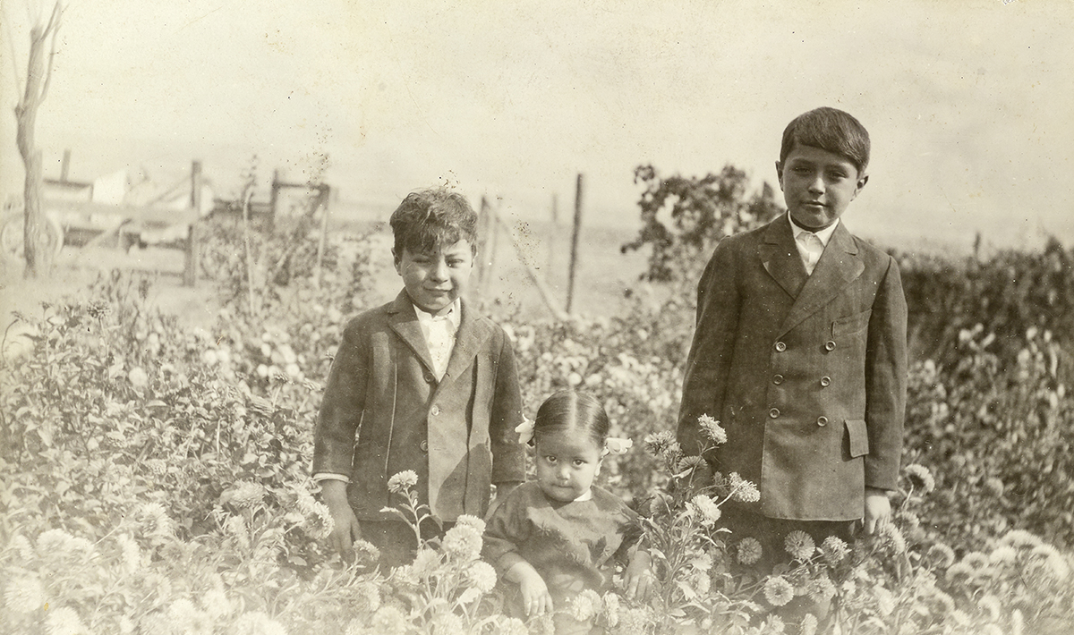 Old photograph of some kids in a fields of flowers.