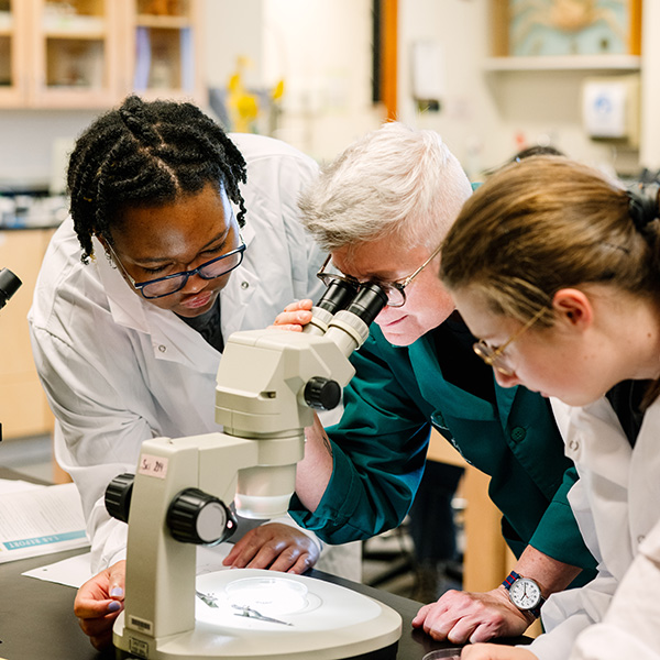 A student looking through a microscope