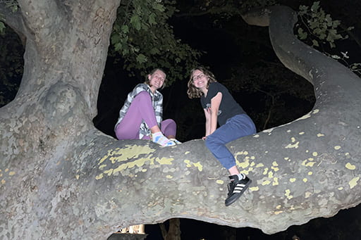 Pan and roommate in a tree at night.