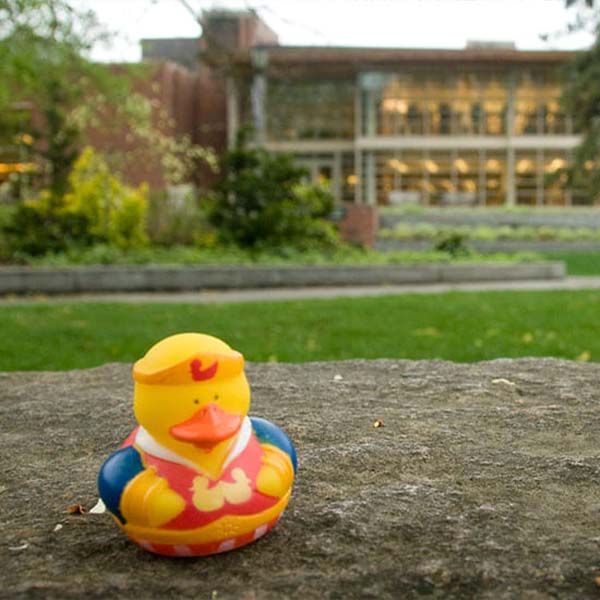 Rubber duck in the grass.