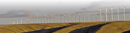 Wind Turbine Farm, photo by Doug Plummer