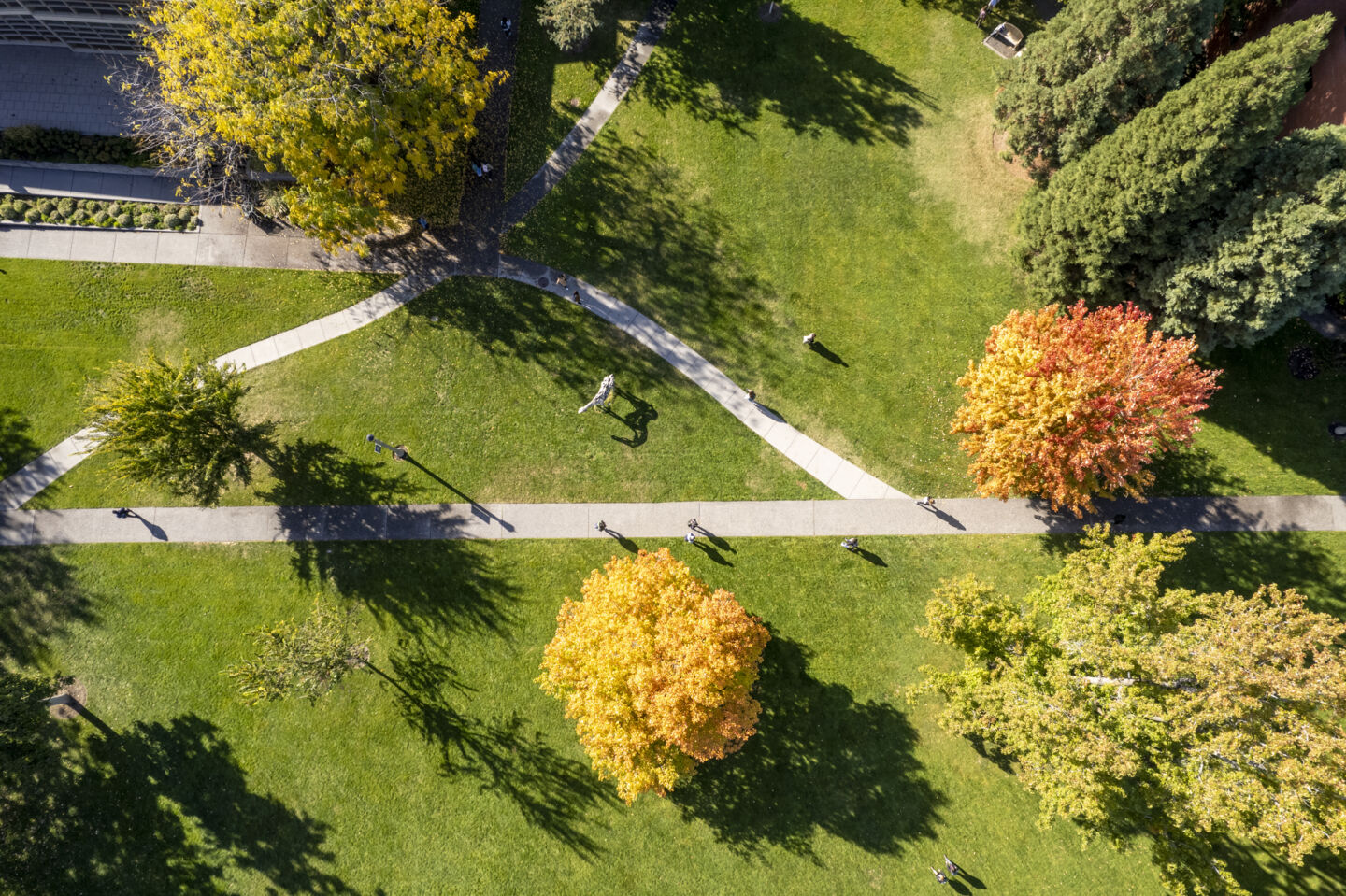 Aerial view of Ankeny Field on Whitman College campus