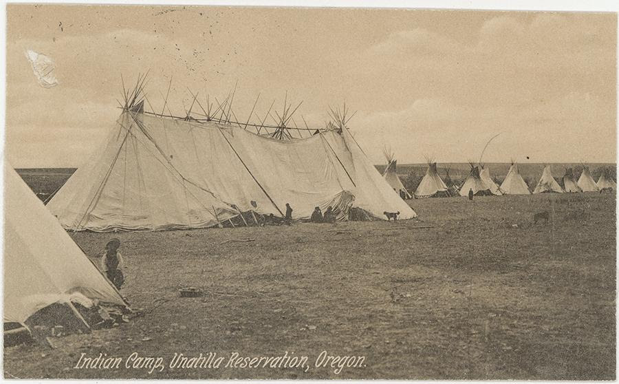 "Camp of tipis" on Umatilla Indian Reservation. Photo is part of the collection of the National Museum of the American Indian - Smithsonian Institution.