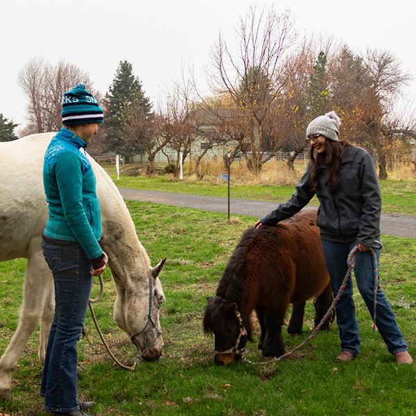 Whitman College Equestrian Club