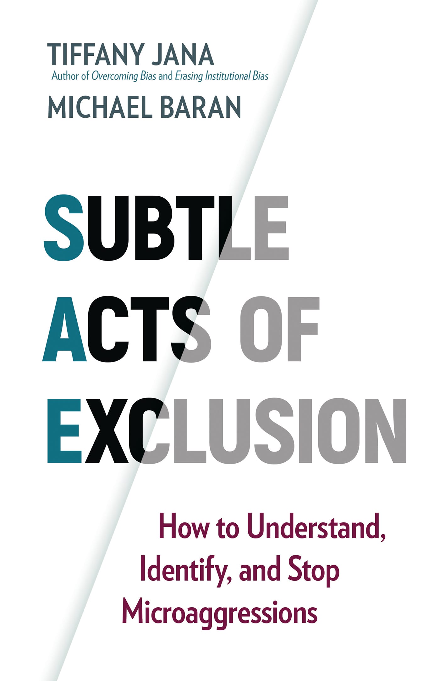 Subtle Acts of Inclusion book cover