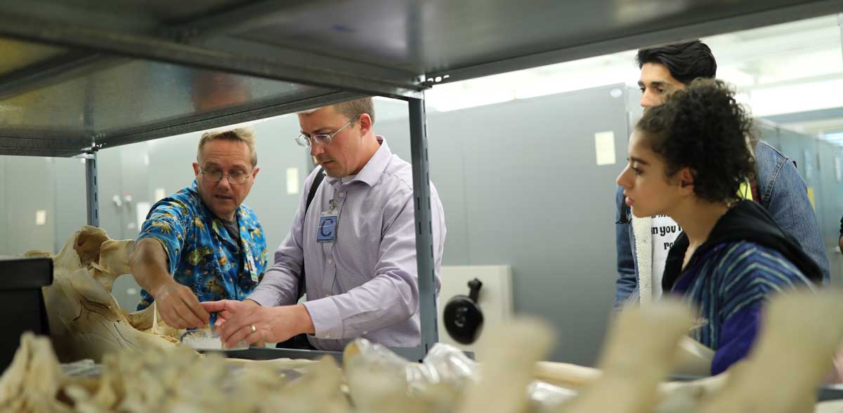 Jason Colby and students examine whale bones