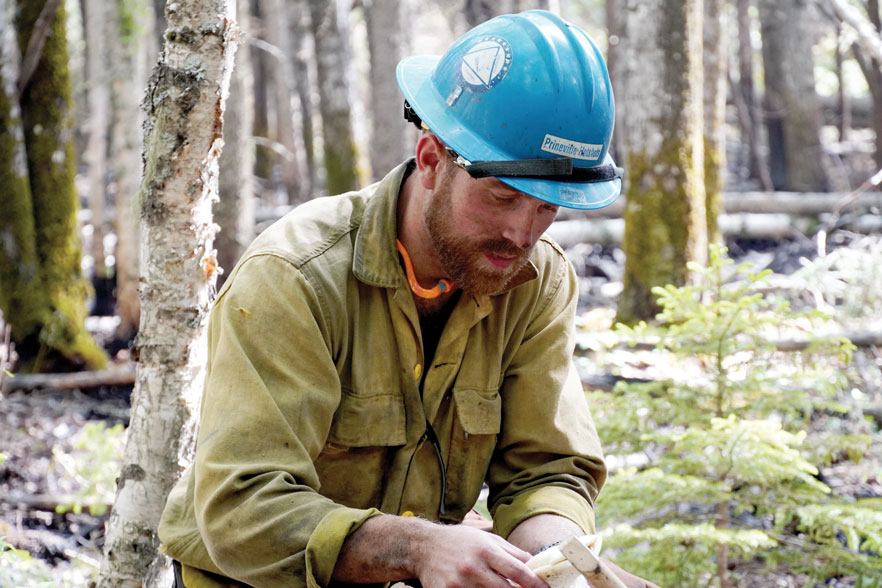 Sam Perkins '17 working in the forest