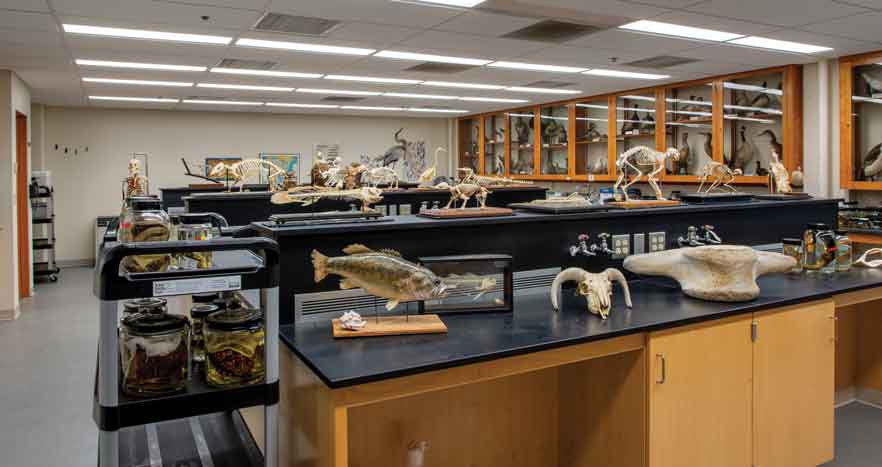 Inside of Whitman College's Anatomy lab