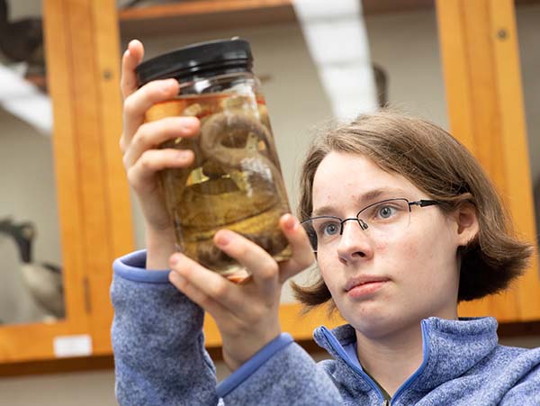 Biology student looking at a snake specimen inside a jar.