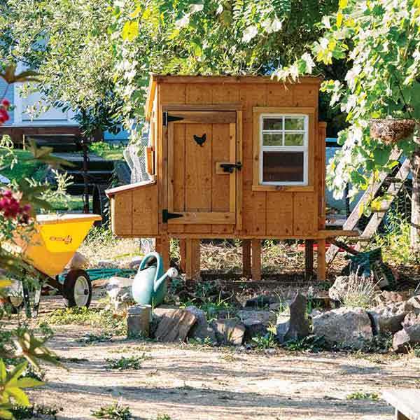 A chicken coup at Whitman's organic garden.