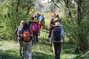 Students hiking through trees.