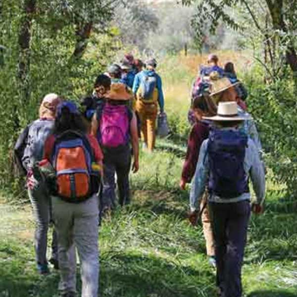 Students hiking through trees.