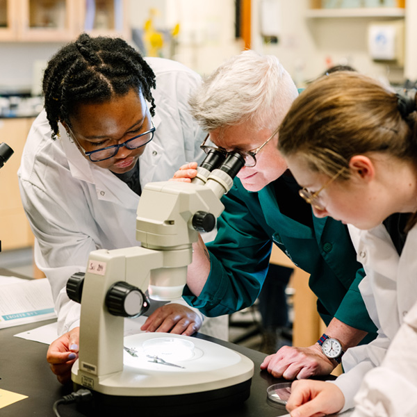 Professor working with students in a Whitman College research biology lab.