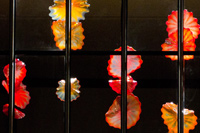 Chihuly Installation