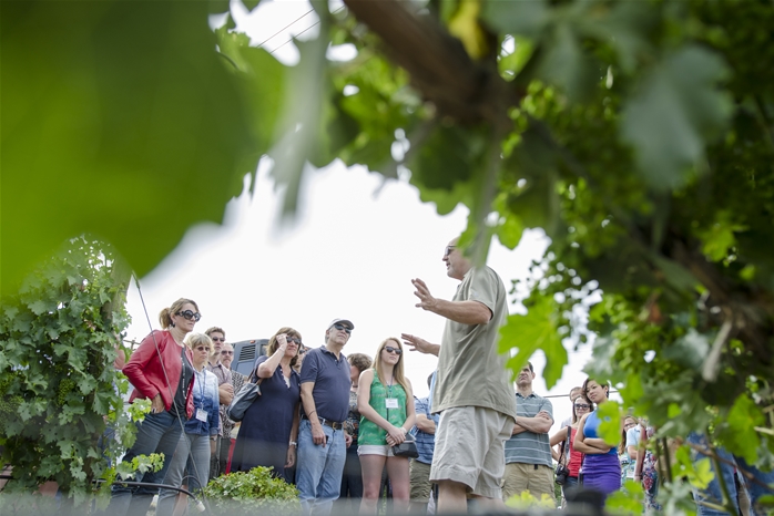 Professor of Geology Kevin Pogue leads a wine terroir tour.