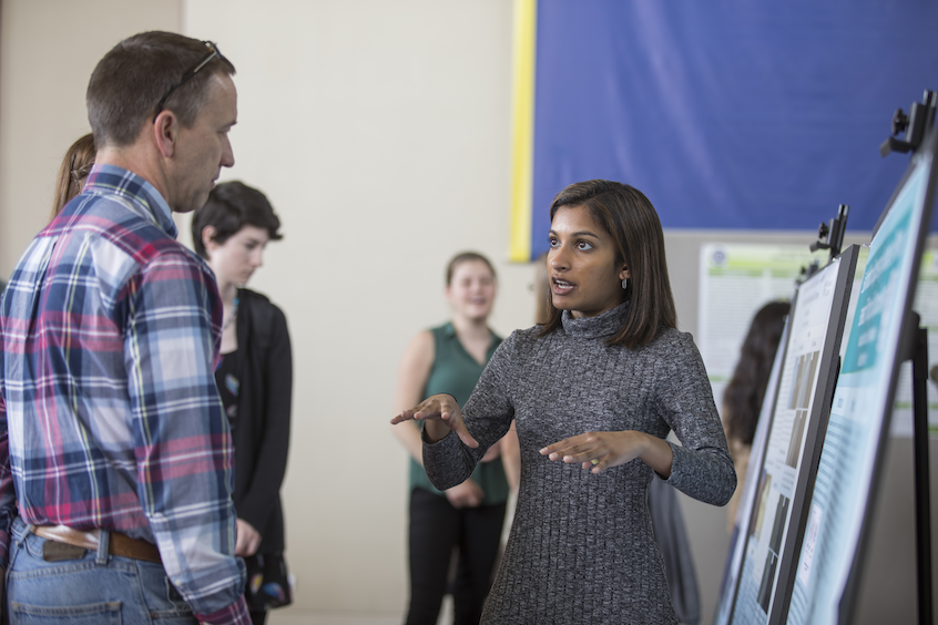 Neha Naidoo '17, a race and ethnic studies major and chemistry minor, discusses her research on "EsaI Inhibition: Suppressing Virulence of Pantoea stewartii Through Quorum Sensing" during the poster session.