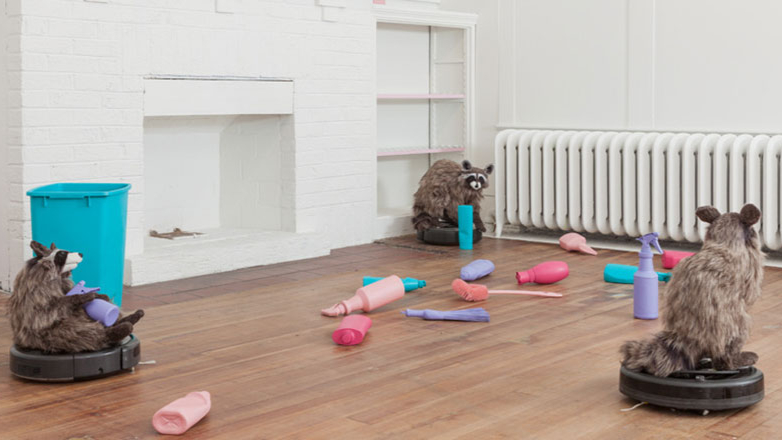 A photo of faux-raccoons riding Roomba's as part of an art installation.