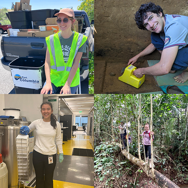 A grid of four images of Whitman interns in the field.