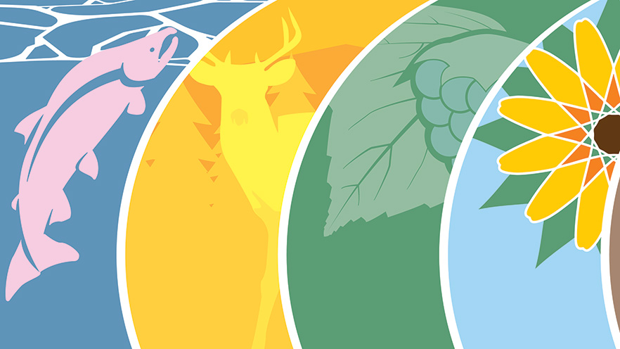 Graphics of a salmon, deer, berries and sunflower.