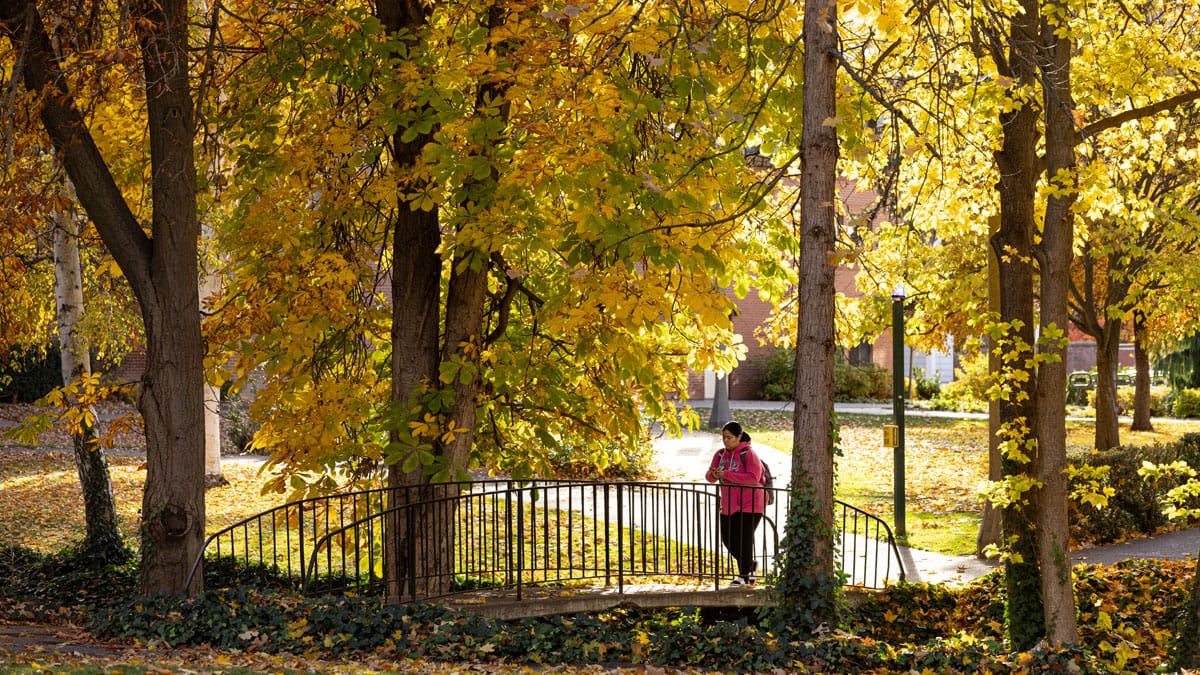 A Whitman student makes their way across campus amid the changing of the leaves during a beautiful fall day in November.