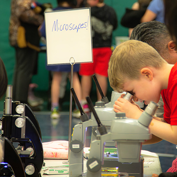 Child at Whitman Science Night looking through a microscope.