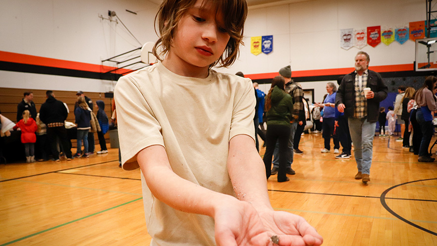 A child at Whitman Science Night holding a stink bug. 