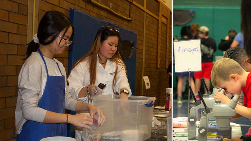 Whitman College students setting up a science experiment on the left hand side and on the right hand side there is a child looking through a microscope.