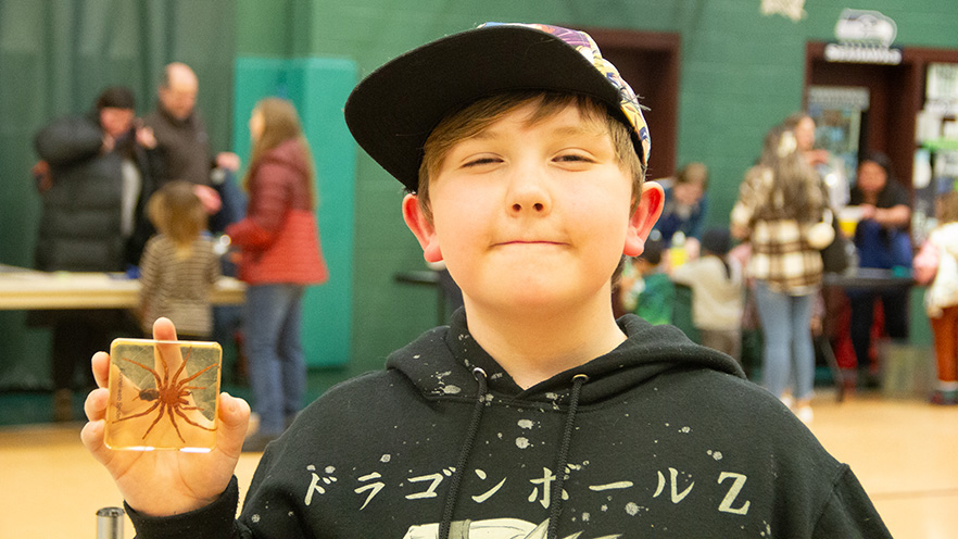 Child attending Whitman Science Night holding a spider that has encapsulated in resin.