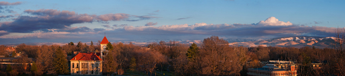 Whitman Aerial shot